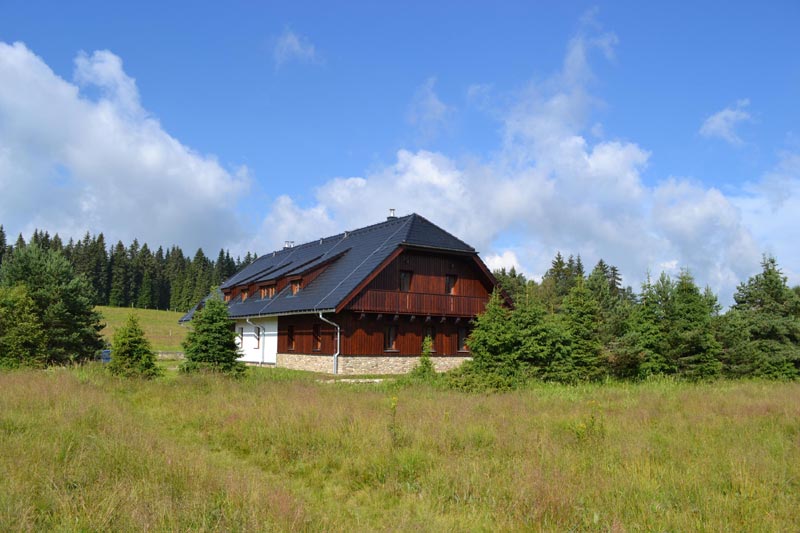 Gallery 11